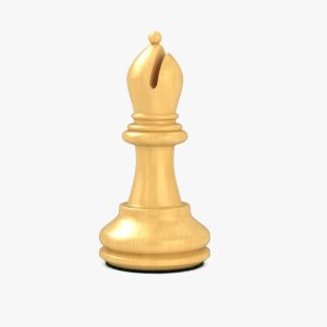 SkillCraftX Pro Academy